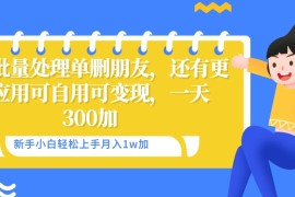 微信批量清理单删好友，可自用可变现，一天三百 