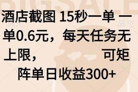 （16212期）酒店截图 15秒一单 一单0.6元，每天任务无上限，可矩阵单日收益300 