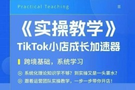 大卖家孵化中心TikTok实操课，TikTok小店成长加速器，跨境基础系统学习，一步一步带你开店