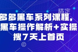 拼多多黑车系列课程，实操黑车操作解析 实操黑搜7天上首页【音频】