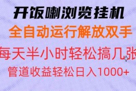 （13655期）开饭喇浏览挂机全自动运行解放双手每天半小时轻松搞几张管道收益日入1000 