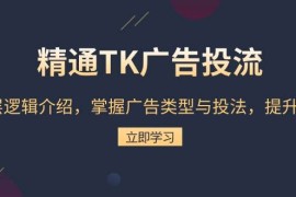 （13641期）精通TK广告投流：底层逻辑介绍，掌握广告类型与投法，提升效果