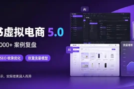 小红书虚拟电商5.0，单店单日1000 ，AI软件 SEO收录，双重流量稳定出单【揭秘】