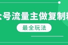 （14333期）最新完整Ai流量主爆文玩法，每天只要5分钟做复制粘贴，每月轻松10000 