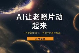 （11926期）让老照片动起来，一天变现1000 ，各平台最火赛道，看完就会