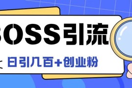 Boss直聘引流创业粉最新玩法日引100 创业粉【揭秘】