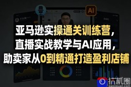 亚马逊实操通关训练营，直播实战教学与AI应用，助卖家从0到精通打造盈利店铺(更新6月18日)