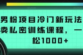 男粉项目冷门新玩法，售卖私密训练课程，一天轻松1000 【揭秘】