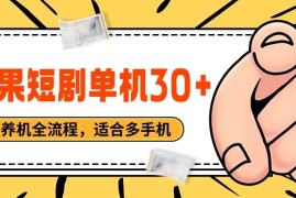 红果短剧自动挂机，单机每日30 ，养机全流程，附带（自动软件）