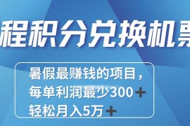 （11311期）2024最暴利的项目每单利润最少500 ，十几分钟可操作一单，每天可批量…