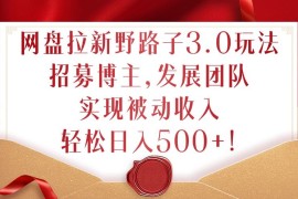 网盘拉新野路子3.0玩法，招募博主，发展团队，实现被动收入，轻松日入500 【揭秘】