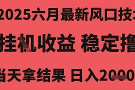 2025六月最新风口技术，无人挂G撸礼物，长期稳定 一个小时收益2k ，小白当天拿结果【揭秘】