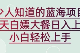 新蓝海长期项目，白嫖大餐日入上千，小白轻松上手