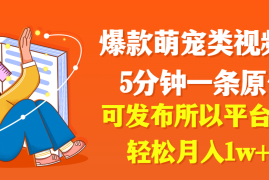 爆款萌宠类视频，5分钟一条原创，可发布所以平台，轻松月入1w 