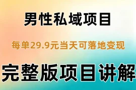 男性私域项目每单29.9，当天就能落地变现【不是S粉项目】详细拆解