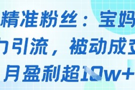 精准粉丝：宝妈暴力引流方法，被动成交，月盈利超1w 