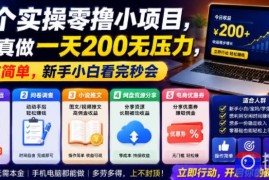 5个实操零撸小项目，认真做一天200无压力，操作简单，新手小白看完秒会【揭秘】