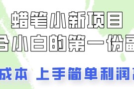 蜡笔小新项目拆解，小白一个月也能多赚3000 