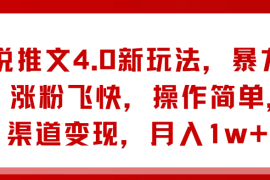 小说推文4.0新玩法，暴力起号，涨粉飞快，操作简单，多渠道变现，月入1w 