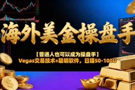 海外美金操盘手技术【普通人也可以成为操盘手】Vegas交易技术 聪明软件，日赚50-100U