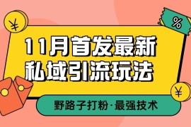 11月首发最新私域引流玩法，自动克隆爆款一键改写截流自热一体化 日引300 精准粉