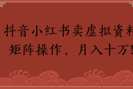 抖音小红书卖虚拟资料矩阵操作、月入十万!