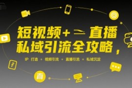 短视频 直播私域引流全攻略，IP打造  视频引流  直播引流  私域沉淀