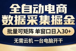独家电商数据全自动采集项目，批量可矩阵，单窗口轻松日入3张 【揭秘】