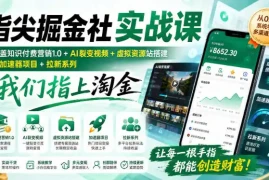 指尖掘金社实战课，涵盖知识付费营销1.0 AI裂变视频 虚拟资源站搭建 加速器项目 拉新系列，我们指上淘金！