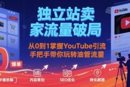 独立站卖家流量破局：从0到1掌握YouTube引流，手把手带你玩转油管流量
