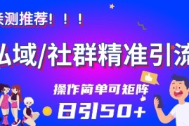 私域社群精准引流，亲测推荐日引50 当天见效可矩阵操作