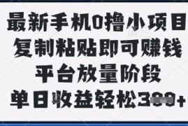 最新手机0撸小项目，复制粘贴即可挣钱，平台放量阶段，单日收益轻松3张 【揭秘】