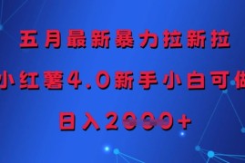 五月最新暴力拉新拉，小红薯4.0新手小白可做，日入多张