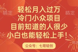 轻松月入过万，冷门小众项目，目前知道的人很少，小白也能轻松上手！