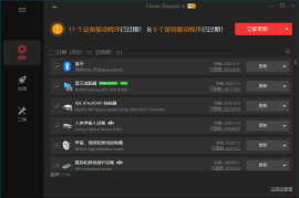 驱动管理IObit Driver Booster Pro v13.4.0.234便携版