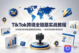 TikTok 独立站跨境基础全套教程，拆解平台盈利逻辑，新手从零跑通变现全流程