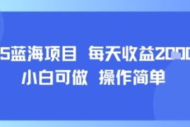 2025蓝海项目 每天收益多张 小白可做 操作简单