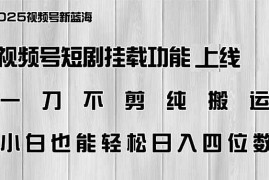 （14310期）视频号短剧挂载功能上线，一刀不剪纯搬运，小白也能轻松日入四位数