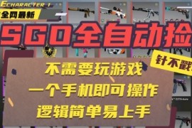 CSGO自动捡漏项目，最新独家玩法，一个手机即可操作，新手小白轻松月入1W ，操作简单易上手【揭秘】