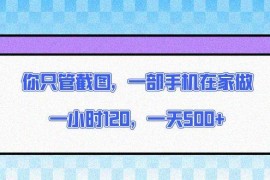 （13785期）你只管截图，一部手机在家做，一小时120，一天500 
