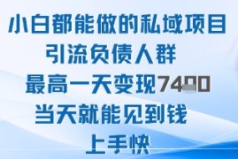 2025年小白都能做的私域项目引流负债人群最高一天变现1k 高变现难度低当天就能见到钱上手快