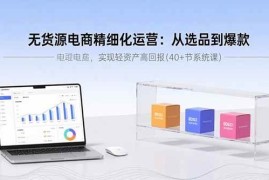 （15896期）无货源电商精细化运营：从选品到爆款，实现轻资产高回报(40 节系统课)