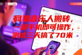 网易音乐人搬砖，一部手机即可操作，测试三天搞了70米