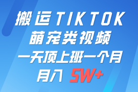 一键搬运TIKTOK萌宠类视频，一部手机即可操作，所有平台均可发布 轻松月入5W 