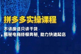 （13577期）拼多多实操课程：不讲废话只讲干货, 揭秘电商终极奥秘,助力快速起店