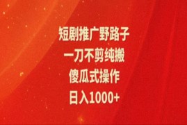 （11642期）暑假风口项目，短剧推广全新玩法，一刀不剪纯搬运，轻松日入1000 
