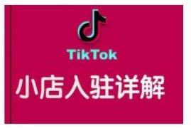 TikTok跨境小店运营全攻略，帮助你独立运营TK跨境小店的能力，实现销量增长