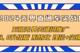 （10075期）2024无界直通车实战班，万相无界关键词推广，4.0升级版 系统化 理论 实操