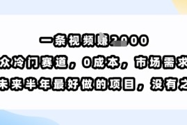一条视频挣1k，小众冷门赛道，0成本，市场需求大，是未来半年最好做的项目，没有之一