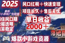 （15398期）日赚2000＋从零开始的财富逆袭实录，风口红利 快速变现